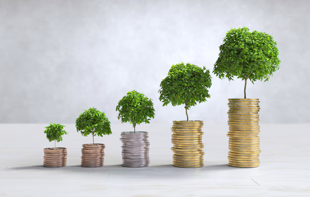 Micro Finance