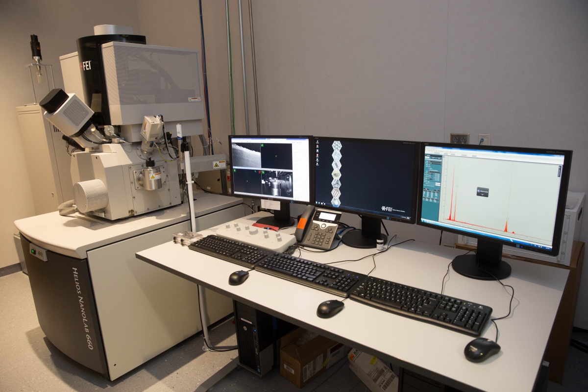 Scanning Electron Microscopy